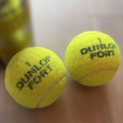 【DUNLOP】DUNLOP FORT テニスボール 2個入り缶の画像