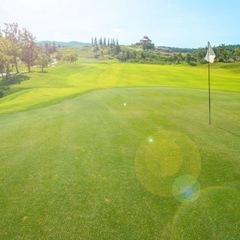 ゴルフレッスン•
アドバイザーの画像