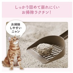 猫砂 の画像