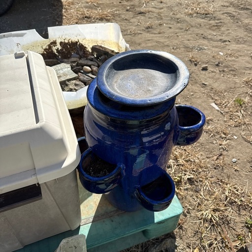 ストロベリーポット (はら) 高知の家具の中古あげます・譲ります