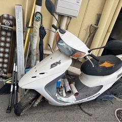 dio zx 本物の画像