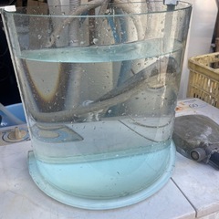 水槽　の画像