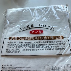 No.7　グンゼGQ-1 長ズボン下前開きLサイズ1枚の画像