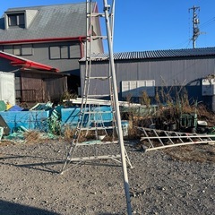 アルミ三脚　約310センチ　庭　園芸の画像