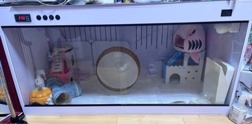 爬虫類 小動物 ケージ レオパ ケージ 120*60*60 公式