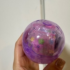 たまごっち ブリスターパッケージコレクション　ふらわっち　まるっちの画像