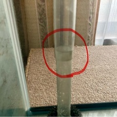 60cm水槽　ライト付き　熱帯魚などの画像