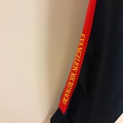 エヴァンゲリオン　ジャージの画像