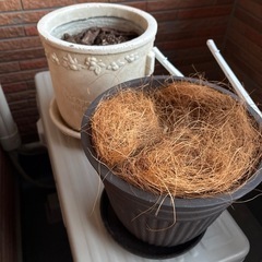 植木鉢セットの画像