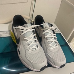 ナイキ エア マックス エクシー　27.5センチ
の画像