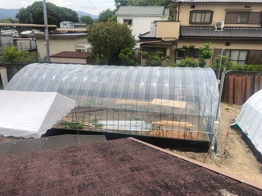 ビニールハウスの骨組み