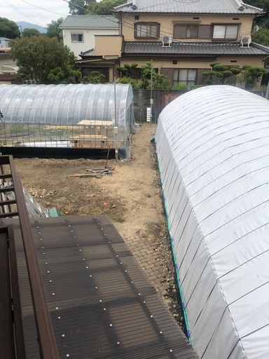 ビニールハウスの骨組み