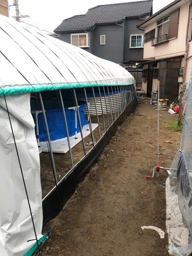 ビニールハウスの骨組み
