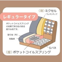 筑波産商 パノラマ13 2.5人掛けソファ LABGY かたさ:ハード 脚60N(座面高:36cm) 木脚ナチュラル色の画像