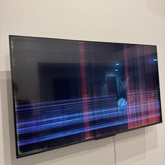 REGZA   55インチ　ジャンクの画像