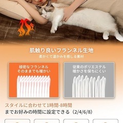 電気毛布 高級フランネル両面仕様 10段階温度調節 掛け敷き188×130cmの画像