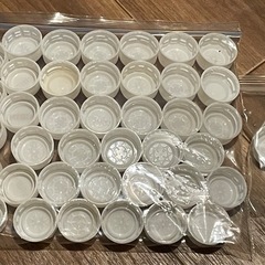 KIRINのペットボトルキャップ 42個の画像