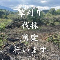 草刈り、剪定、伐採、