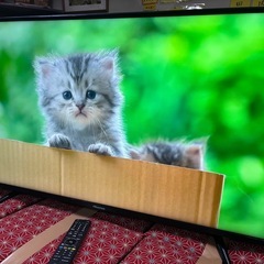 ハイセンス 43型 テレビ　HJ43N3000 　2018年製の画像