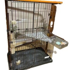 ウッドワンサークル キャット2段の画像