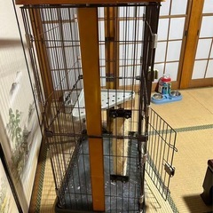 ウッドワンサークル キャット2段の画像