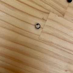 フウセンカズラの種の画像