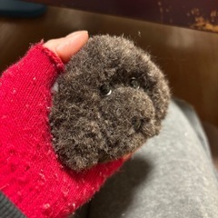 パンチニードル　プードルゴケ茶①の画像