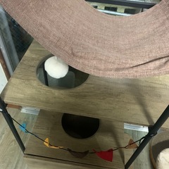 キャットタワーの画像
