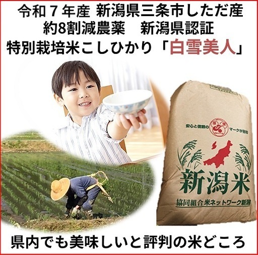令和7年産　減農薬　新潟こしひかり玄米30kg　新潟県三条市旧しただ村産　減農薬　特別栽培米100%白雪美人　グルテンフリー　送料無料