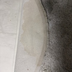 【訳あり】francfrancのカーペットの画像