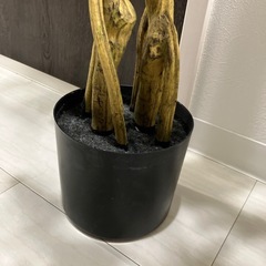 【譲り先決まりました】フェイクグリーンの画像