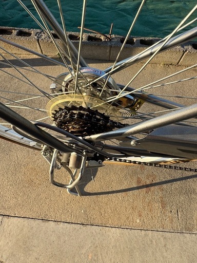 お話し中　27インチ　シティーサイクル