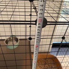 猫ケージの画像
