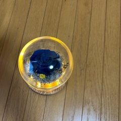 ブリザードフラワー の画像