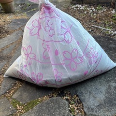 無料！2袋！木灰(良質な天然木) の画像