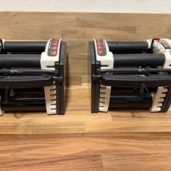 可変式ダンベルの画像
