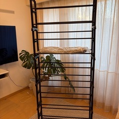 靴　収納の画像