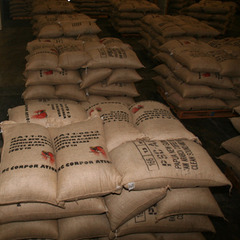 【在宅／資料の作成】コーヒー生産地域支援業務の画像