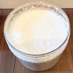 菌糸　菌糸ボトルの画像