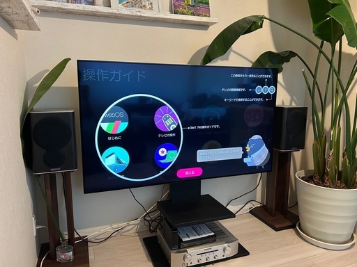 60インチTV    本体のみ　テレビスタンドなし