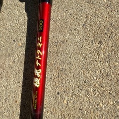 テトラ竿の画像