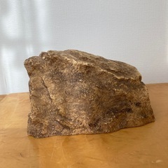 爬虫類　両生類　他 ロック シェルター XL 　の画像