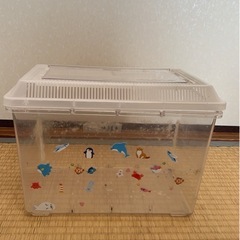 虫かご3サイズあります／1個ずつお譲りしますの画像