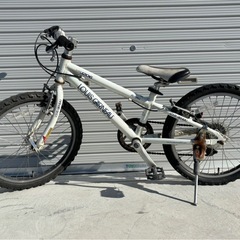 LOUIS GARNEAU AL6061 LGS-J206 マウンテンバイク ジュニアモデル ルイガノ 自転車 mw1041の画像