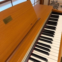 CACIO 電子ピアノの画像