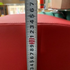 ★キレイ★セルタン 2段ドッグステップ PVCレッド 高さ34cm の画像