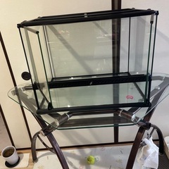 グラステラリウム4560の画像