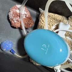 メダカ水槽セットの画像