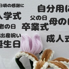 モールフラワーのチューリップの画像