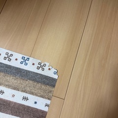 ①ペット用 防滑・消臭・防水マット  Lサイズ の画像